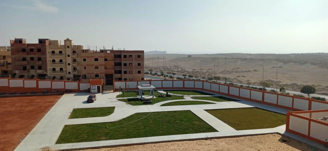 WhatsApp_Image_2021-01-27_at_7_05_52_PM