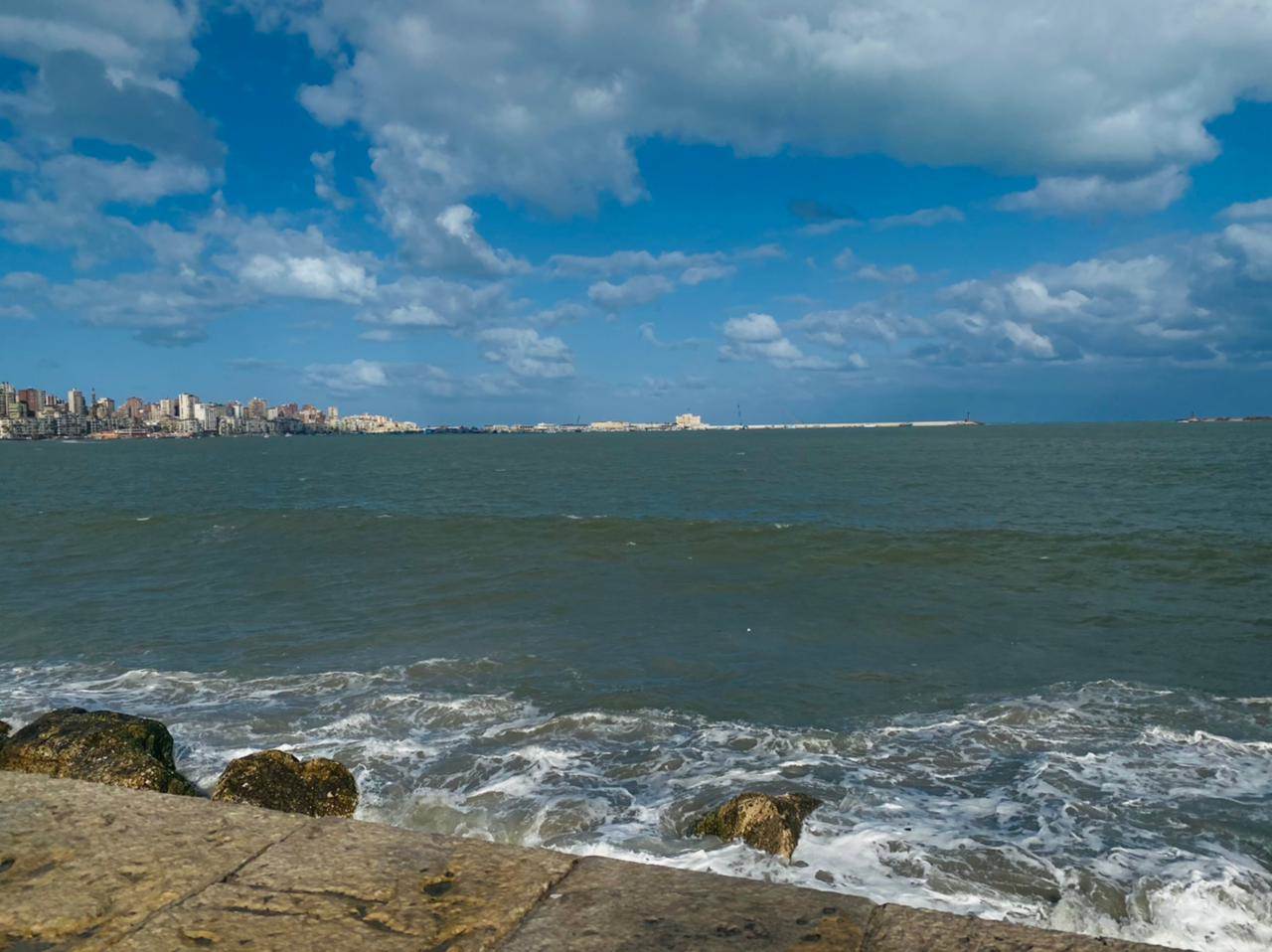 WhatsApp_Image_2021-02-18_at_10_40_55_(1)