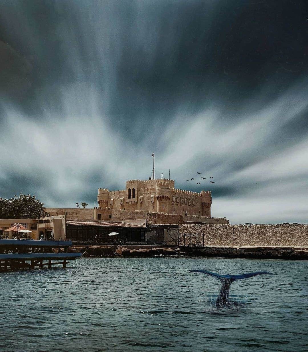 WhatsApp_Image_2021-03-03_at_12_42_50_PM