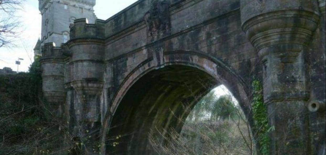 WhatsApp_Image_2021-03-03_at_3_06_27_PM