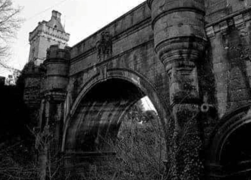 WhatsApp_Image_2021-03-03_at_3_06_36_PM