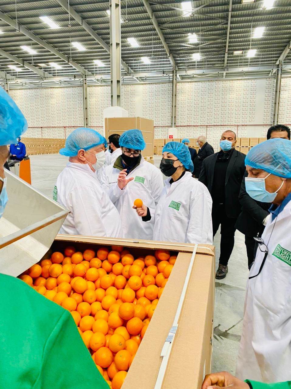 WhatsApp_Image_2021-03-06_at_09_31_00_(1)