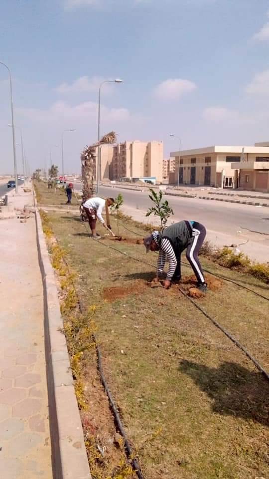 WhatsApp_Image_2021-03-16_at_5_17_42_PM