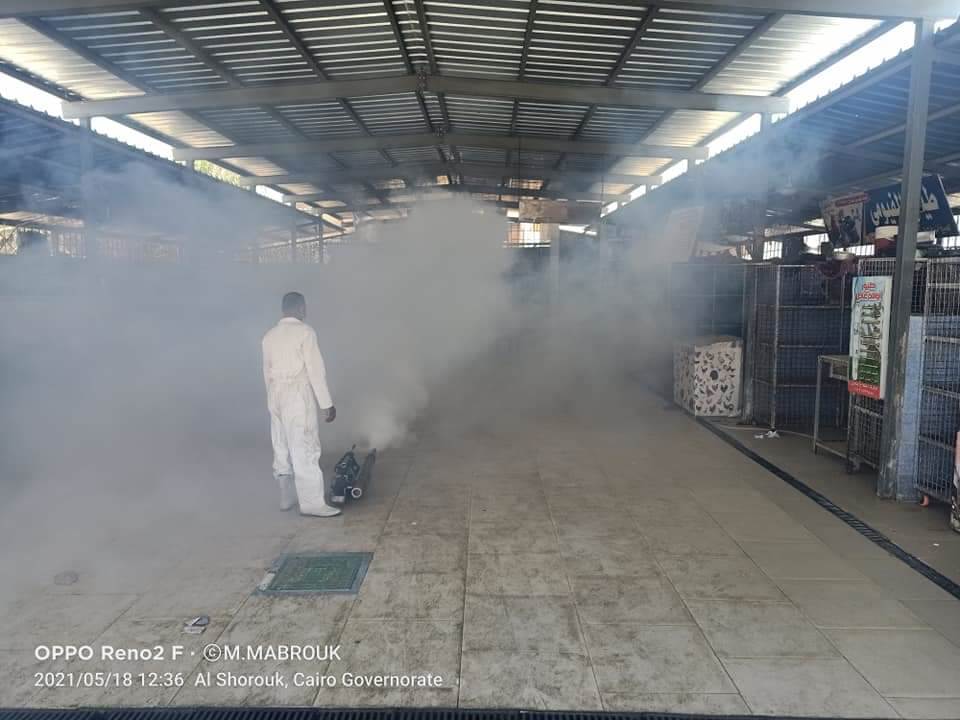 WhatsApp_Image_2021-05-20_at_9_33_00_AM