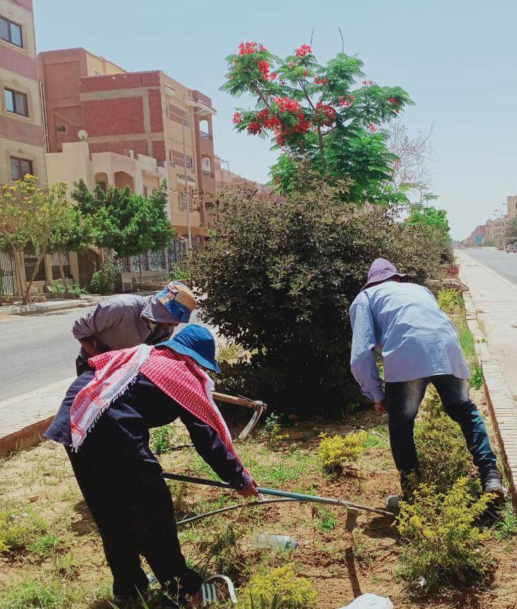 WhatsApp_Image_2021-06-09_at_8_42_45_AM_(1)