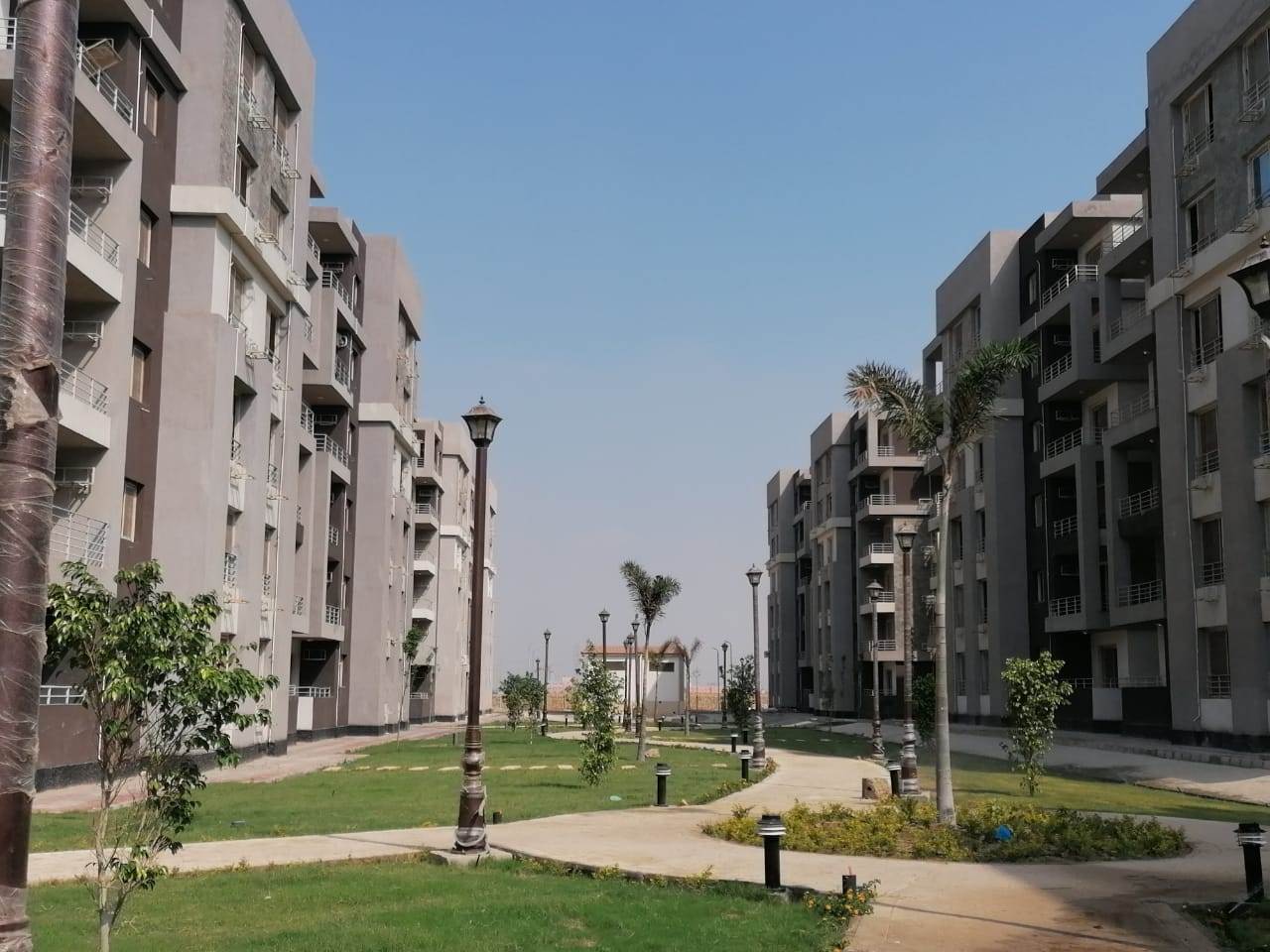 WhatsApp_Image_2021-07-12_at_9_04_13_AM