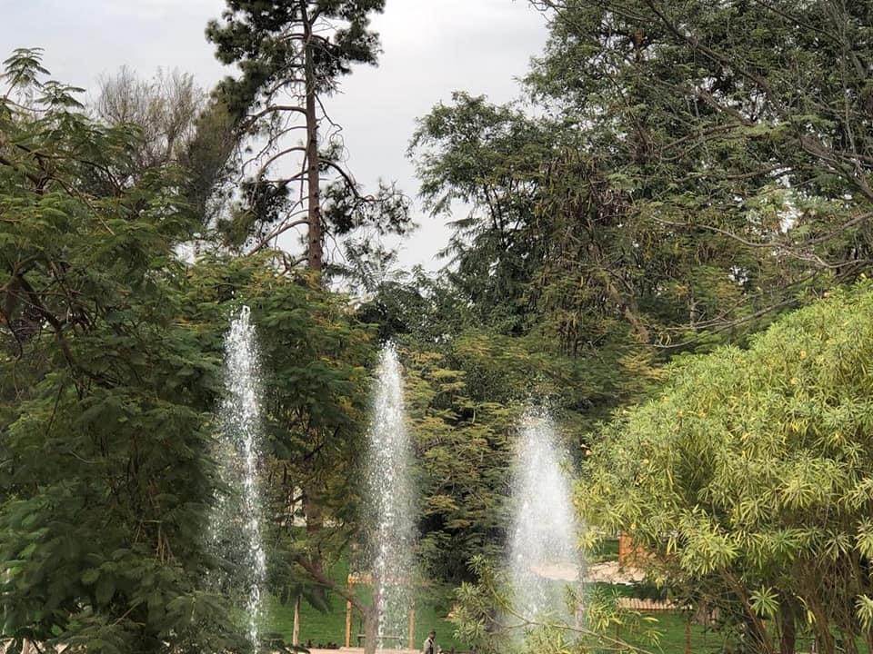 E1C5547F-3513-4179-A4C7-10137A40D538 E1C5547F-3513-4179-A4C7-10137A40D538