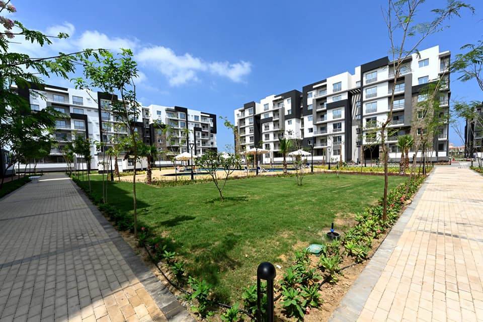 311042515_521230740047351_928835812890455143_n