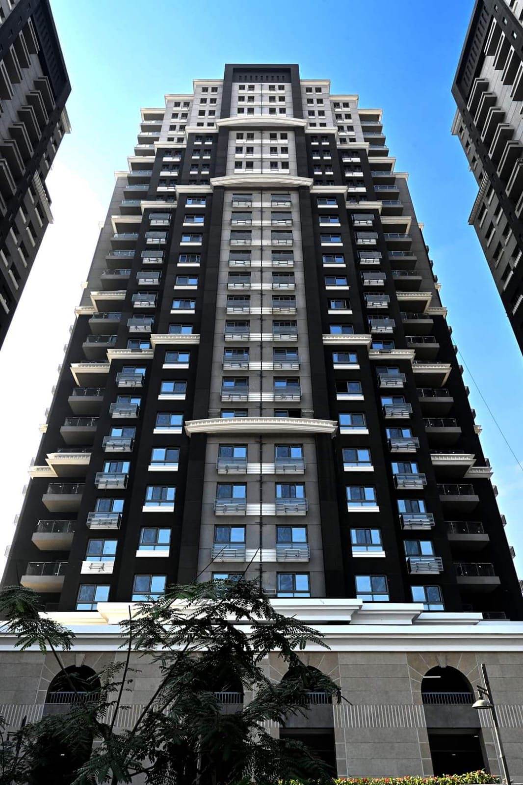 1f66e437-a50a-4035-9d42-558bc3a36260