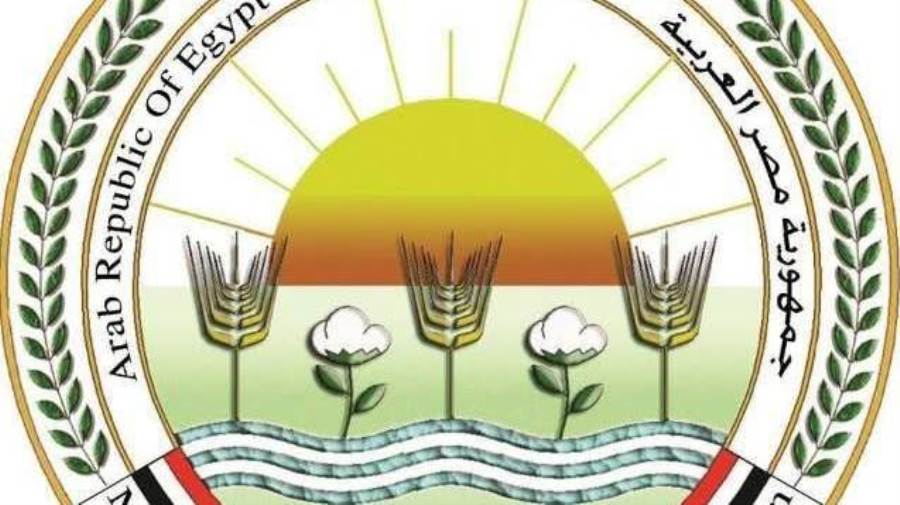 "الزراعة" تعلن خطة لتعزيز نفاذ الصادرات الزراعية المصرية للأسواق العربية والخليجية في إطار دعم الأمن الغذائي الإقليمي