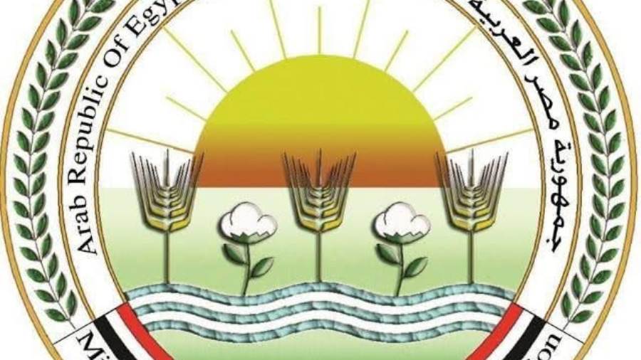"الزراعة" تعلن ذبح 7,681 أضحية بالمجازر الحكومية "مجاناً" للمواطنين في ثالث أيام عيد الأضحى واستمرار أعمال الفحص البيطري لضمان السلامة