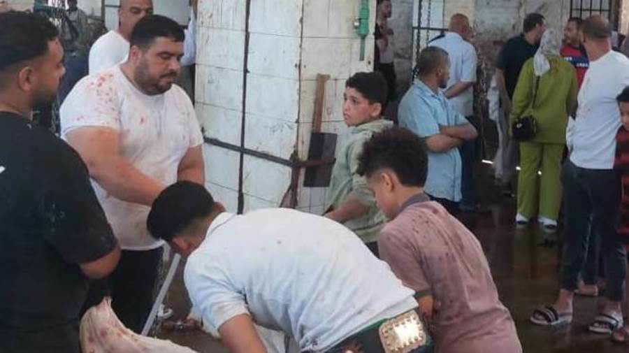 محافظ الجيزة: ذبح 4300 أضحية داخل المجازر الحكومية خلال الأيام الثلاثة الأولى لعيد الأضحى