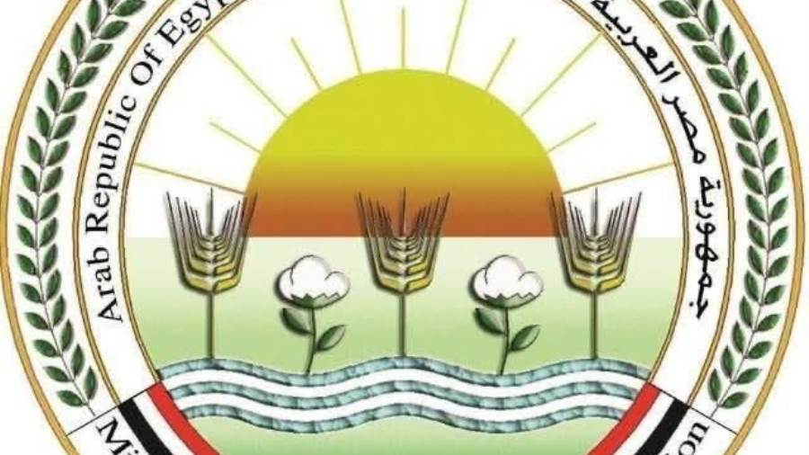 "الزراعة" تعلن ذبح 35,514 أضحية بالمجازر الحكومية مجاناً للمواطنين خلال عيد الأضحى