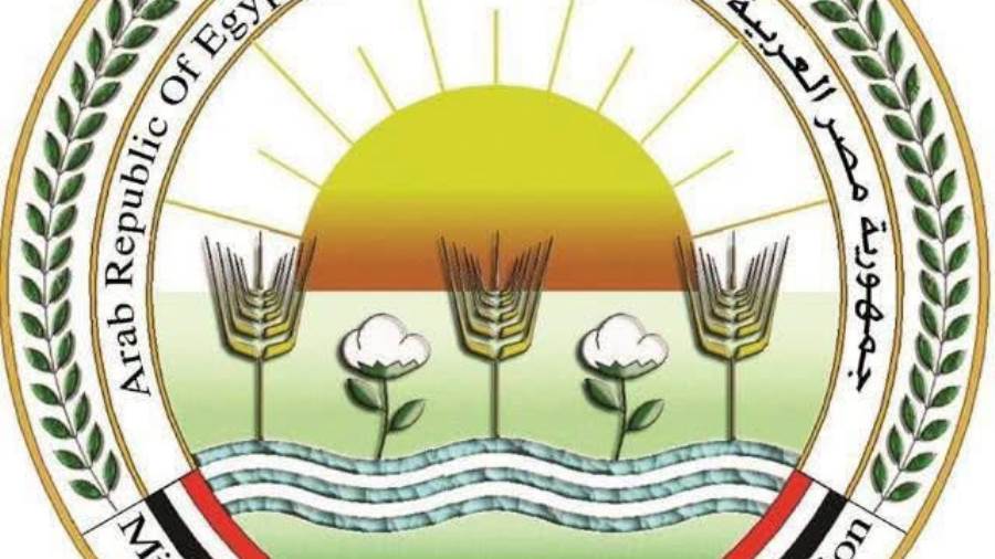في حملة مكثفة بكفر الزيات.. «الزراعة» تضبط 1400 عبوة مبيدات مخالفة وتحيل الواقعة للنيابة العامة