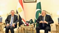مشاورات سياسية بين وزيرى الخارجية المصري والباكستاني في إسلام آباد