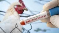 الصحة العالمية: تسجيل أول إصابة بشرية بإنفلونزا A(H5N5) بالولايات المتحدة