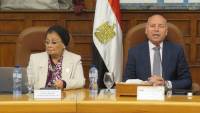نائب وزير الصحة تشارك في اجتماع المجلس الإقليمي للسكان برئاسة محافظ القاهرة
