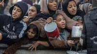 الأمم المتحدة: ارتفاع حالات سوء التغذية الحاد في غزة إلى 95 ألف حالة