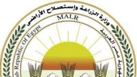"الزراعة" تعلن طفرة في صادرات الخيول العربية إلى الأسواق الأوروبية والعربية وتجديد اعتماد خلو مصر من طاعون الخيل الأفريقي