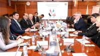 وزير الصناعة يبحث مع سفير أيرلندا لدى مصر وممثلي هيئة المشروعات الأيرلندية فرص التعاون الصناعي