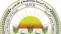 "الزراعة" ترد على فيديو «زيادة وزن الموز»: ادعاءات غير علمية تثير البلبلة