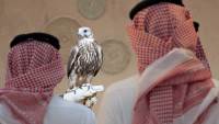 السعودية : المركز الوطني للصقور يفتتح "المزاد الدولي لمزارع إنتاج الصقور 2026"