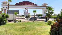 «الإسكان» تكثف أعمال التشجير ورفع كفاءة المسطحات الخضراء بمدينة النوبارية الجديدة