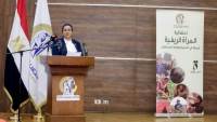 "قومي المرأة": تمكين المرأة الريفية اقتصاديا ضرورة لتحقيق الأمن الغذائي ودعم استقرار الأسرة والمجتمع