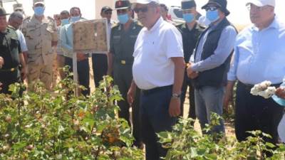 وزير قطاع الأعمال العام يتفقد تجربة زراعة القطن قصير التيلة بشرق العوينات