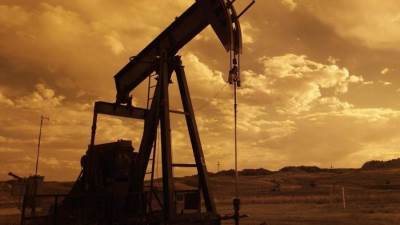 بلومبرج: القطاعات غير النفطية في مصر تشهد نموًا كبيرًا من 14 شهر