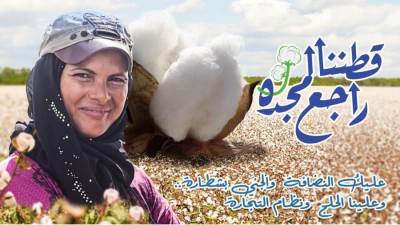  "قطاع الأعمال": بيع 47 ألف قنطارًا في مزادات القطن خلال 50 يوما