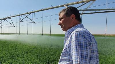 رئيس البنك الزراعي المصري يبحث سبل تمويل المشروعات الزراعية الكبرى في توشكى