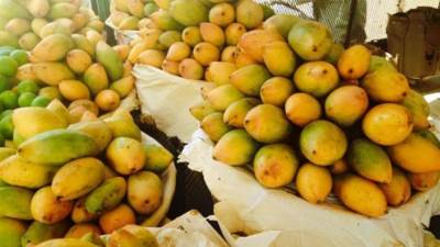 ارتفاع صادرات المانجو لـ7 ملايين دولار خلال الموسم الحالي