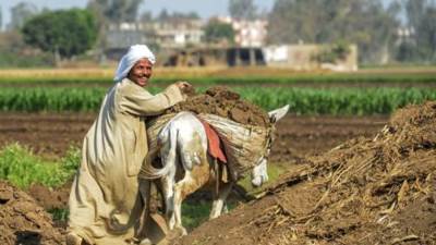 وزير الري: الفلاح سيروي أرضه من بيته بالموبايل بعد 6 أشهر