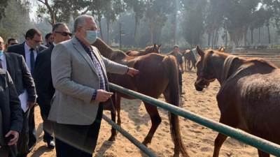 وزير الزراعة يتفقد محطة الزهراء للخيول العربية الأصيلة لمتابعة تطويرها ورفع كفاءتها 
