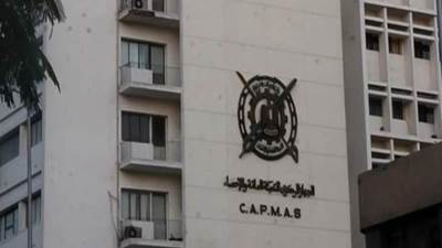 الإحصاء: 0.8٪ زيادة فى مساحة الزمام الزراعي