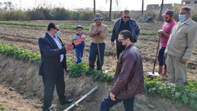 "زراعة دمياط": تحويل 5967 فدانا للري بالنظم الحديثة 