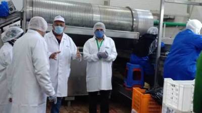 البيئة تشن حملات تفتيشية على المصانع والمسابك بالبحيرة والقاهرة الكبرى