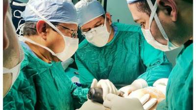 سقوط طالب من أعلى سطح منزله وفريق جراحي ينقذه بالمنصورة الدولي