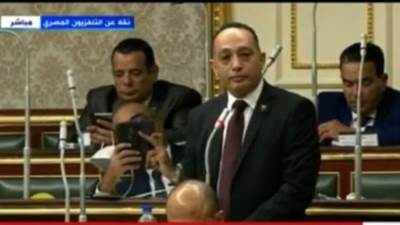 نائب برلماني لـ«إيناس عبدالدايم»: قصور الثقافة بلا ثقافة