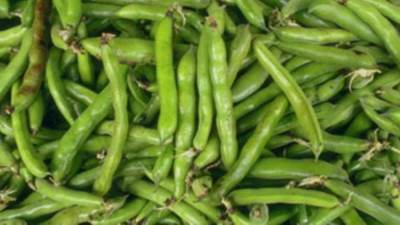 الصناعات الغذائية: استثتاء الفول المجمد والأخضر المعلب من قرار حظر التصدير