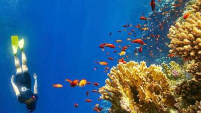 مصر أحد أفضل الوجهات السياحية بالنسبة للسائح التشيكي 