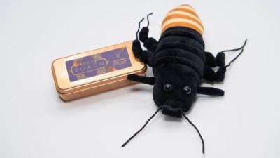 استعن بصرصور في عيد الفالنتين لدوام حبك الي الأبد