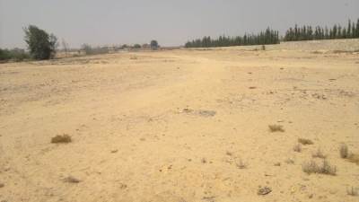  الإسكان: اليوم..بدء تسليم أراضي بيت الوطن بالتوسعات الشمالية بمدينة 6 أكتوبر