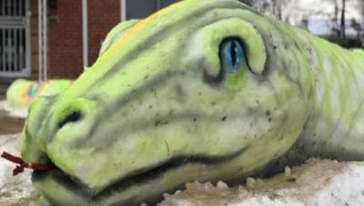  ثعبان ثلجي بطول 23 مترا يبهر حيا في كولورادو الأمريكية