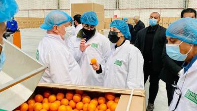 الشرقيون تتوسع في مشروعات التنمية الزراعية وتفتتح أحدث محطات التعبئة والفرز بالإسماعيلية