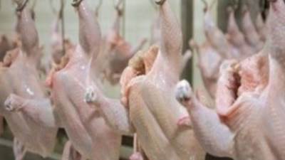 استمرار خفض سعر الدواجن لـ30 جنيها بمنافذ المجمعات الاستهلاكية