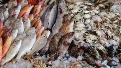 أسعار السمك اليوم الإثنين 15 - 3 - 2021