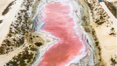 ظهور بحيرة ورديه "جوهرة مخفية" في رأس الخيمة بالإمارات