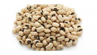 انخفاض أسعار اللوبيا وثبات الفاصوليا خلال مارس 2021